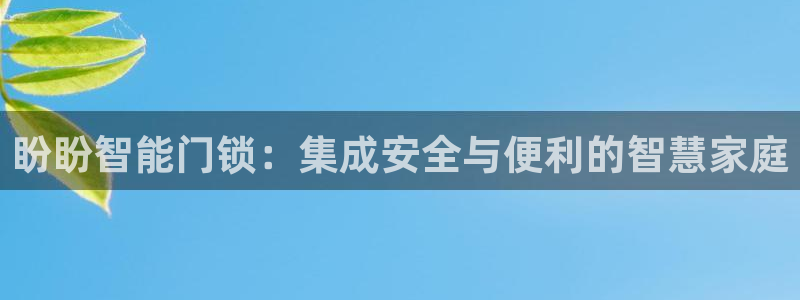 金年会软件之家下载：盼盼智能门锁：集成安全与便利的智慧家庭