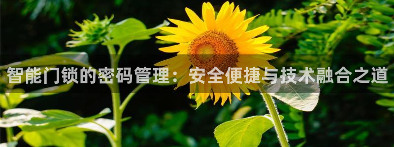 金年会体育娱乐：智能门锁的密码管理：安全便捷与技术融合之道