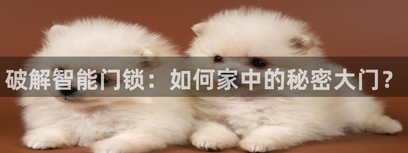 金年会介绍：破解智能门锁：如何家中的秘密大门？