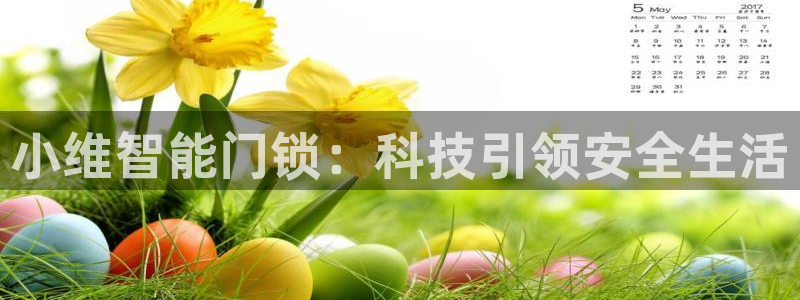 金年会足彩：小维智能门锁：科技引领安全生活