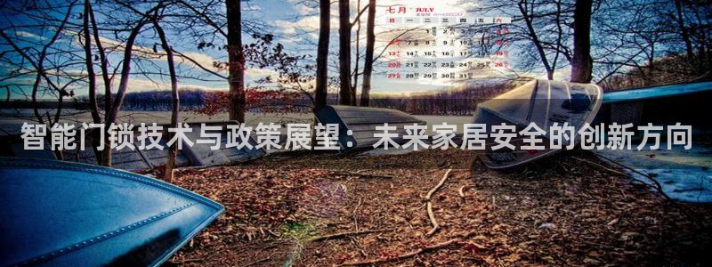 金年会18 28：智能门锁技术与政策展望：未来家居安全的创新
