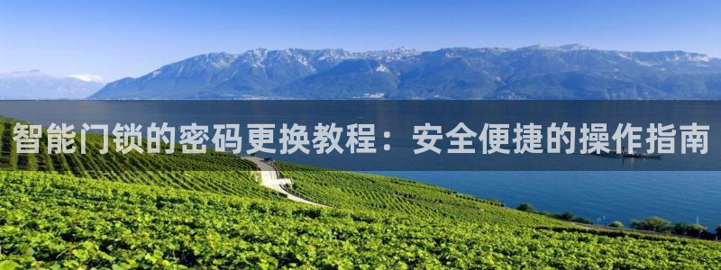 金年会取款：智能门锁的密码更换教程：安全便捷的操作指南