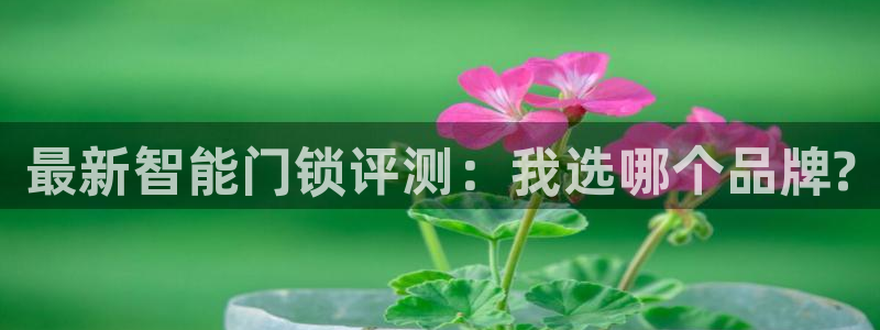 金年会金字招牌信誉至上：最新智能门锁评测：我选哪个品牌?