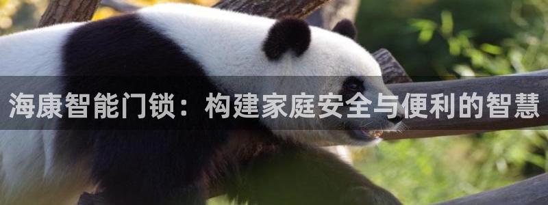 金升年会：海康智能门锁：构建家庭安全与便利的智慧