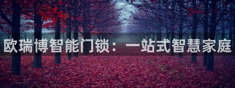 金年会游戏：欧瑞博智能门锁：一站式智慧家庭