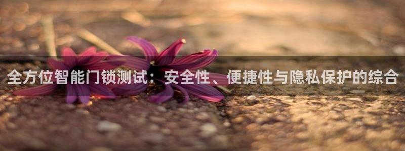 金年会官方网站入口：全方位智能门锁测试：安全性、便捷性与隐私