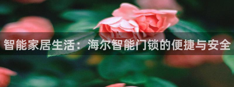 金年会官网入口：智能家居生活：海尔智能门锁的便捷与安全