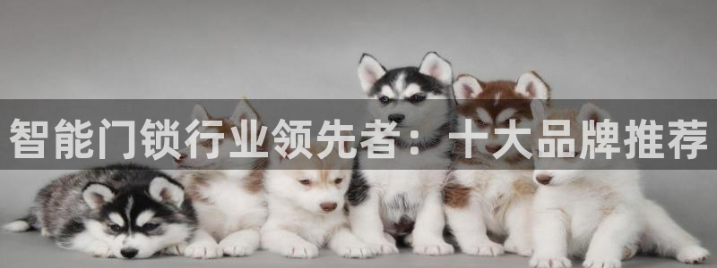 金年会6766001：智能门锁行业领先者：十大品牌推荐