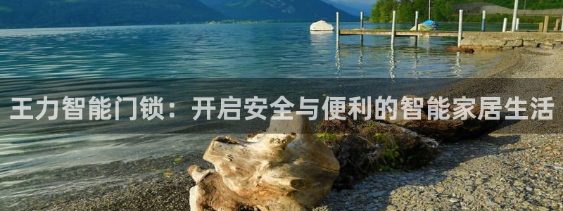 金年会娱乐app：王力智能门锁：开启安全与便利的智能家居生活