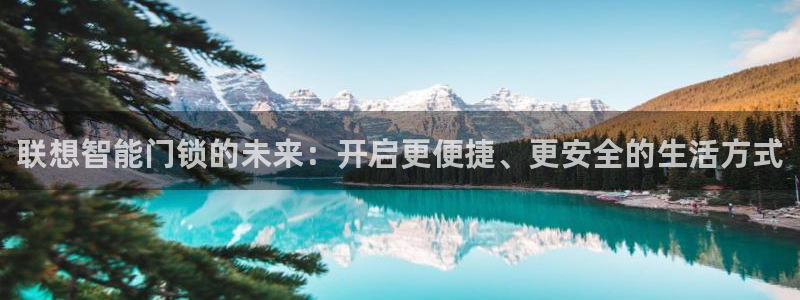 金年会彩票软件：联想智能门锁的未来：开启更便捷、更安全的生活