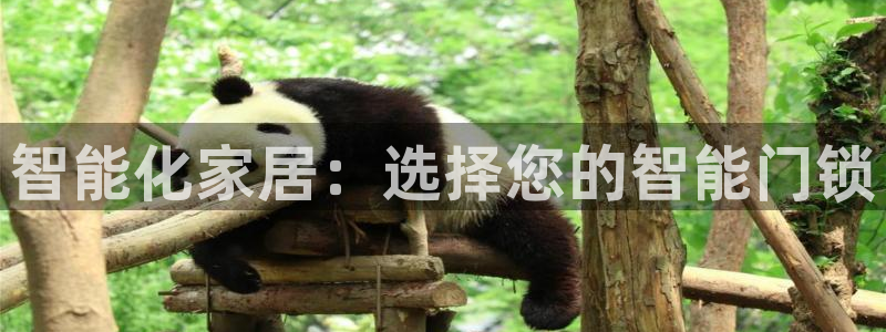 金年会体育：智能化家居：选择您的智能门锁