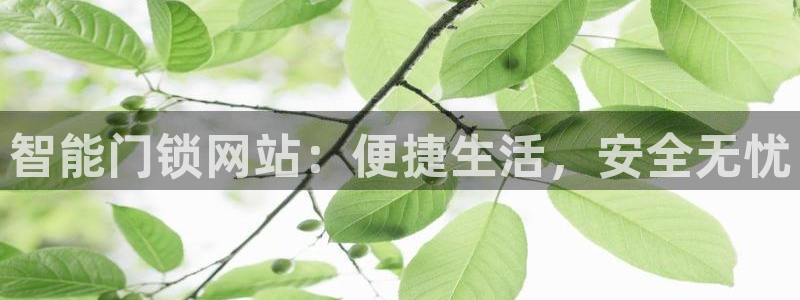 金汉江年会：智能门锁网站：便捷生活，安全无忧