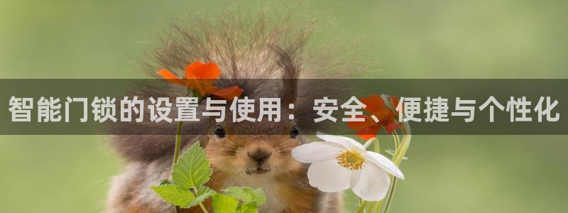 金年会金字招牌在线入口：智能门锁的设置与使用：安全、便捷与个