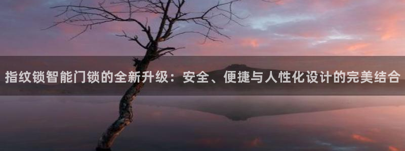 金年会官方网站登录：指纹锁智能门锁的全新升级：安全、便捷与人