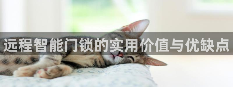 金年会注册官网：远程智能门锁的实用价值与优缺点