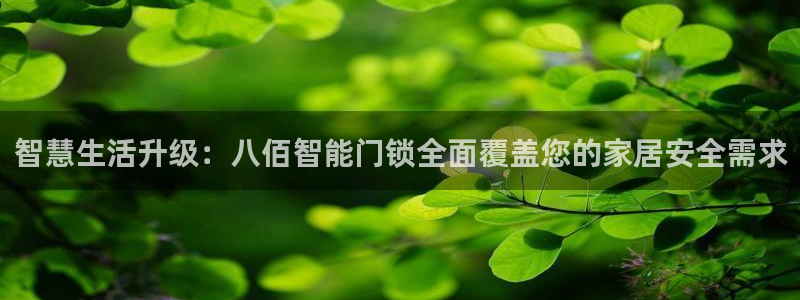 金吉年会：智慧生活升级：八佰智能门锁全面覆盖您的家居安全需求