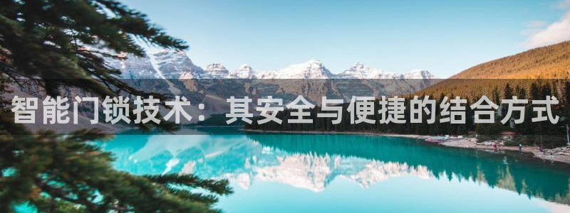 年会金句心得：智能门锁技术：其安全与便捷的结合方式