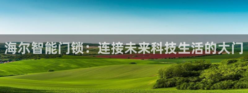 金年会电子游戏：海尔智能门锁：连接未来科技生活的大门