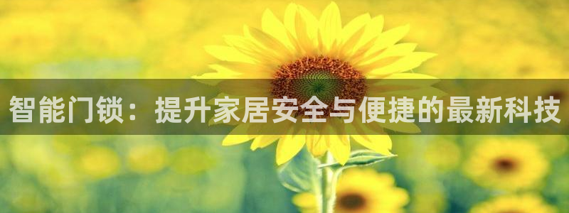 世界杯金年会app下载：智能门锁：提升家居安全与便捷的最新科