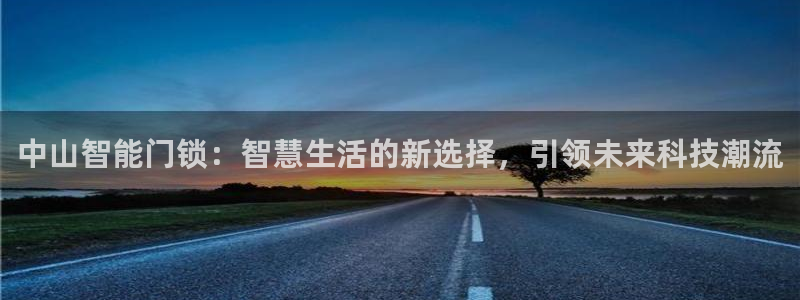 年会金：中山智能门锁：智慧生活的新选择，引领未来科技潮流
