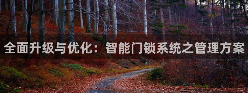 金年会网官网新版：全面升级与优化：智能门锁系统之管理方案