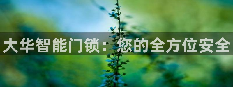 金年会金字招牌诚信至上：大华智能门锁：您的全方位安全