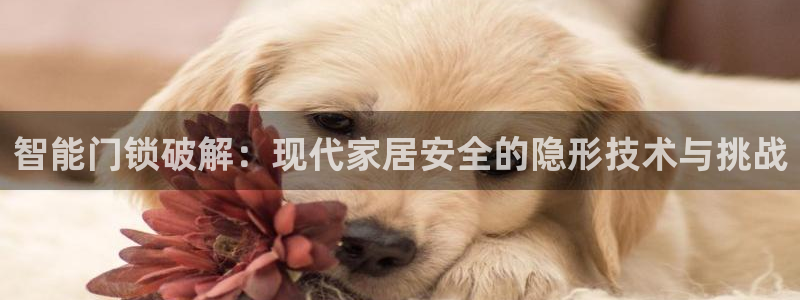 金年会6088070：智能门锁破解：现代家居安全的隐形技术与