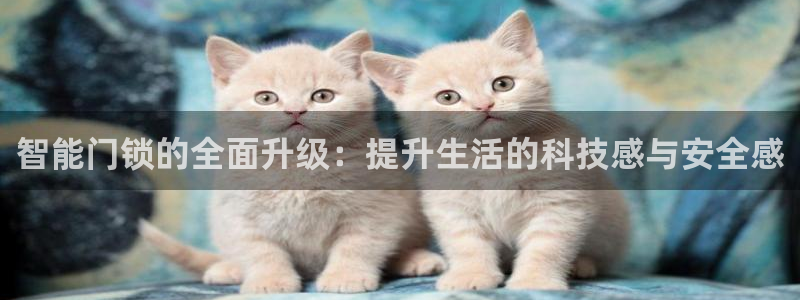 金年会官网地址：智能门锁的全面升级：提升生活的科技感与安全感