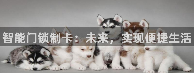 金年会登录平台入口：智能门锁制卡：未来，实现便捷生活