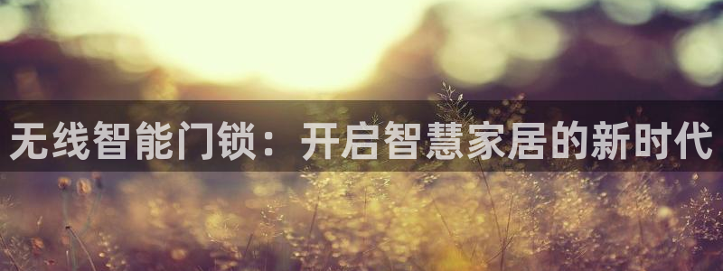 金年会注册：无线智能门锁：开启智慧家居的新时代