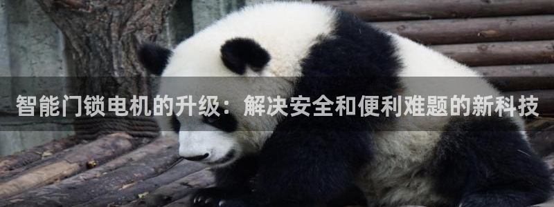 金年会官网登入：智能门锁电机的升级：解决安全和便利难题的新科