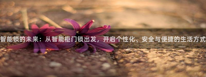 金年会最新登录：智能锁的未来：从智能柜门锁出发，开启个性化、