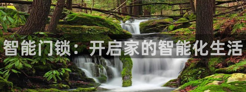 金年会网站：智能门锁：开启家的智能化生活