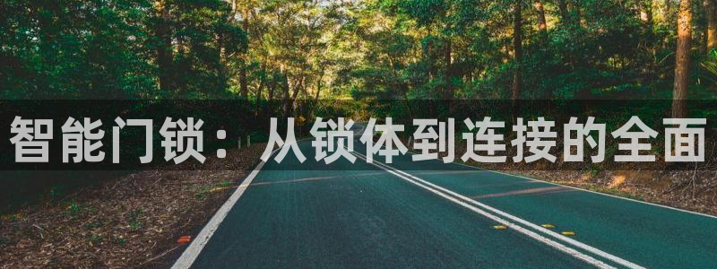 金年会ios下载：智能门锁：从锁体到连接的全面