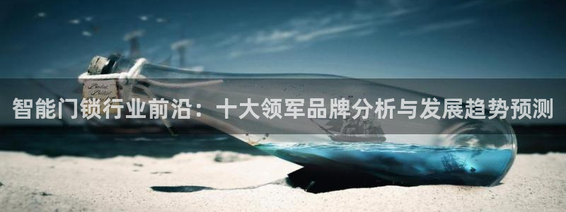 金年会平台出款：智能门锁行业前沿：十大领军品牌分析与发展趋势