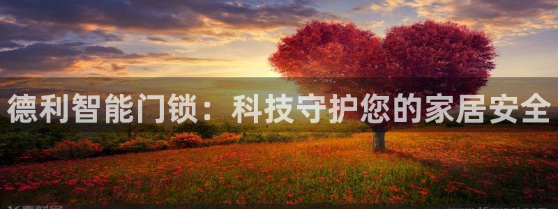 金年会平台出款：德利智能门锁：科技守护您的家居安全