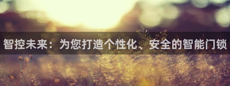 体育金年会：智控未来：为您打造个性化、安全的智能门锁