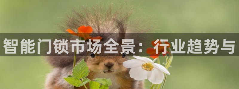 金年会金字招牌信誉：智能门锁市场全景：行业趋势与