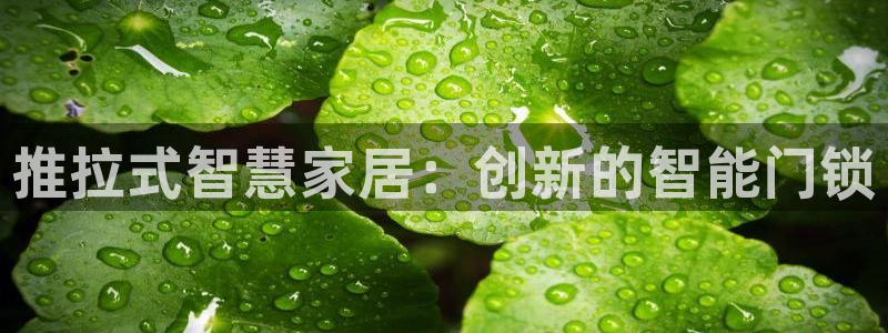 金年会APP下载：推拉式智慧家居：创新的智能门锁