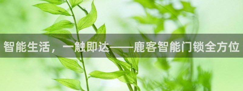 金年会登录平台入口：智能生活，一触即达——鹿客智能门锁全方位