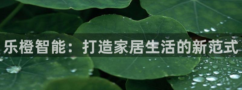 金年会官方体育登录入口：乐橙智能：打造家居生活的新范式