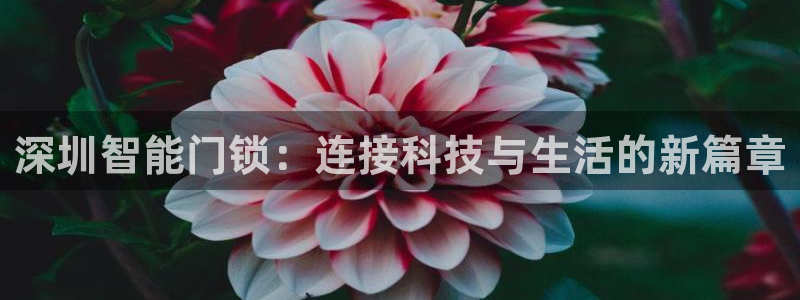 金年会手机app：深圳智能门锁：连接科技与生活的新篇章