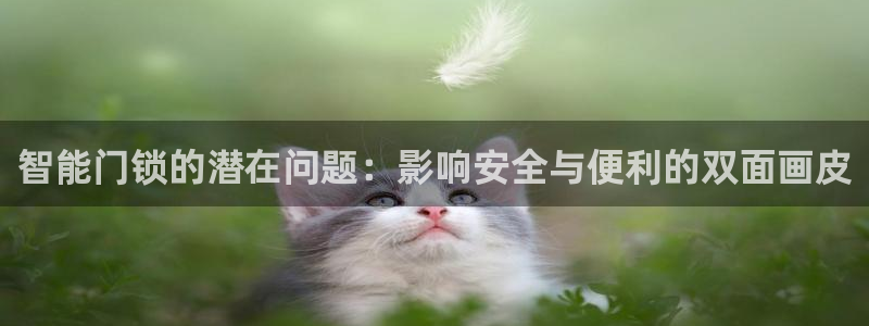 金年会登录平台入口：智能门锁的潜在问题：影响安全与便利的双面