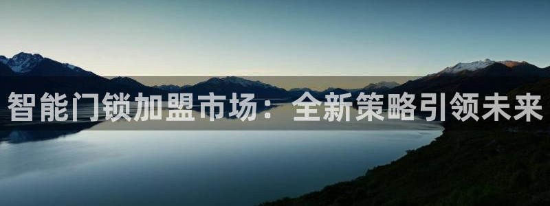 金年会下载：智能门锁加盟市场：全新策略引领未来