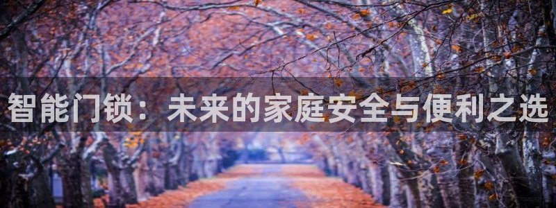 金年会网页登录：智能门锁：未来的家庭安全与便利之选
