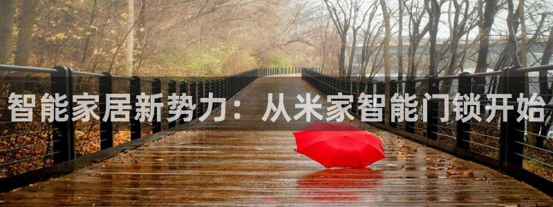 金年会注册官网：智能家居新势力：从米家智能门锁开始