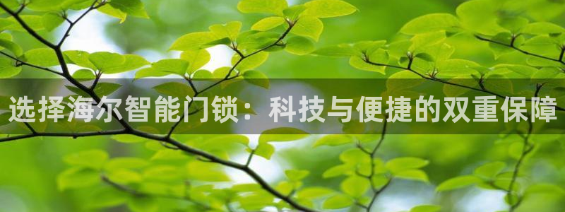金年会手机版：选择海尔智能门锁：科技与便捷的双重保障
