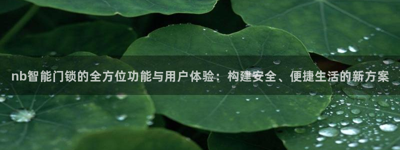 金年会足彩：nb智能门锁的全方位功能与用户体验：构建安全、便