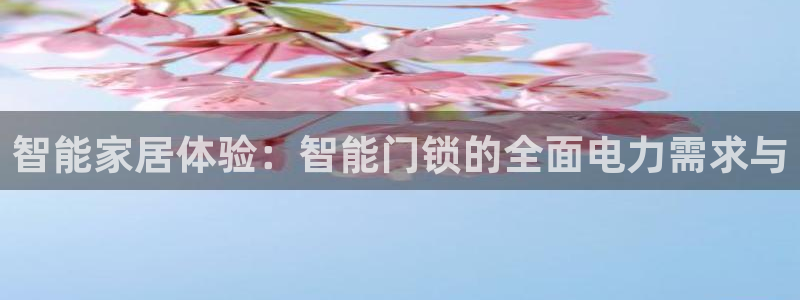 融通金年会：智能家居体验：智能门锁的全面电力需求与