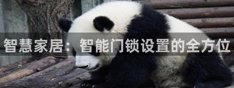 金年会金字招牌下载：智慧家居：智能门锁设置的全方位